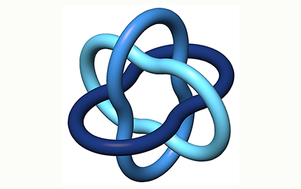 Fields Medal